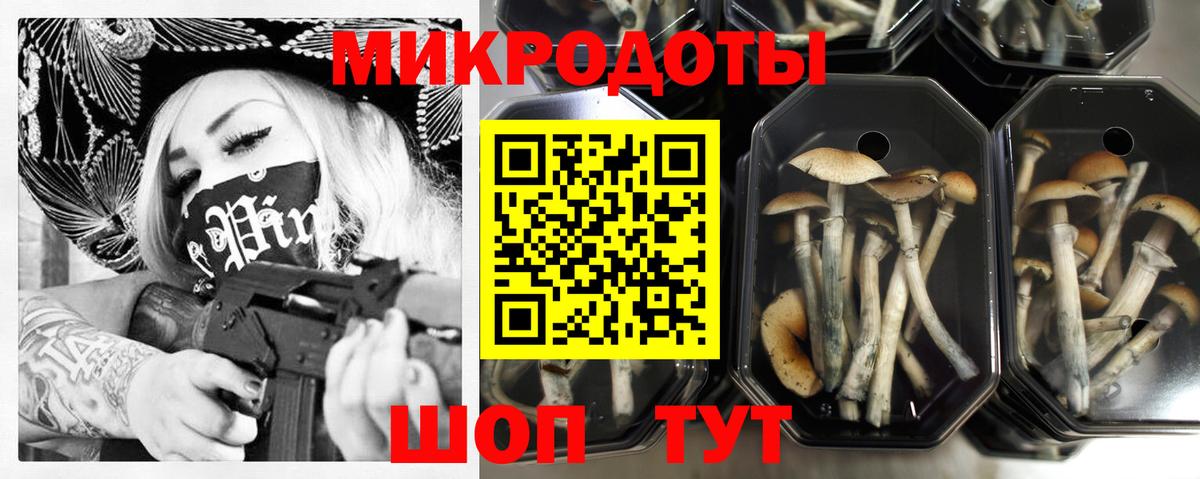 Галлюциногенные грибы Psilocybine cubensis Ирбит