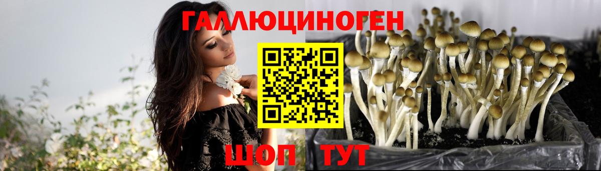 Галлюциногенные грибы мухоморы  Псилоцибиновые грибы мухоморы  Ирбит  Вход с VPN 